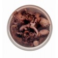 Молодые осьминоги Меридиан в рассоле 430г пл/б