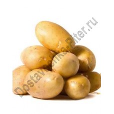 Картофель отборный Домик упаковка 2,5кг